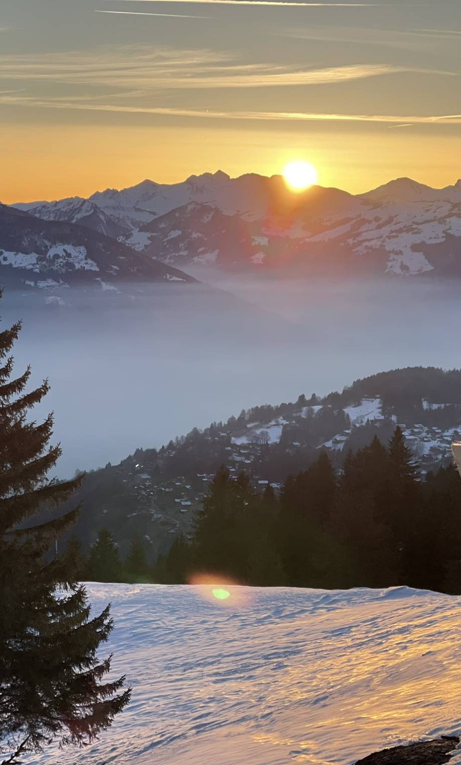 42533C3F-A81B-4C2C-837D-940C2986D187_1_102_o