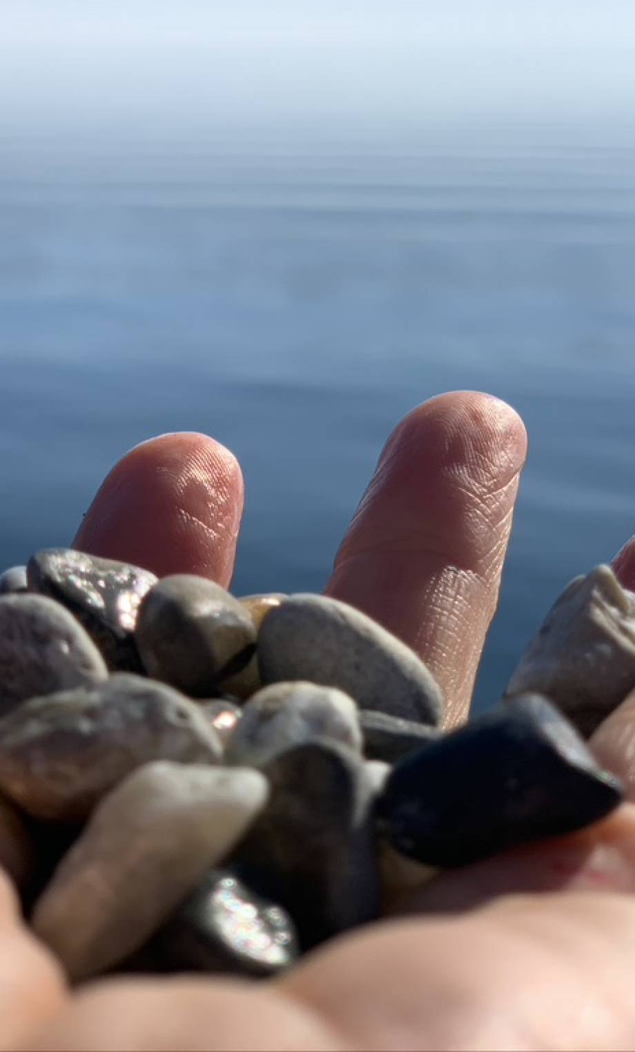 8F1A89F2-9F42-49E7-8E06-56FECD204D61_1_105_c